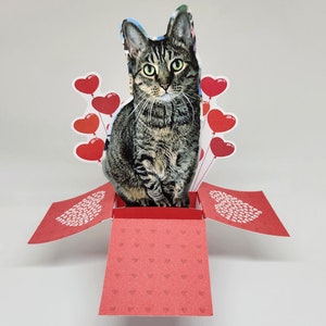 Valentine's Day Photo Pop-Up Greeting Card Personalized Card, Custom Card Valentine's Day, Pet Lovers, Photo Card, Pop Up Card image 8