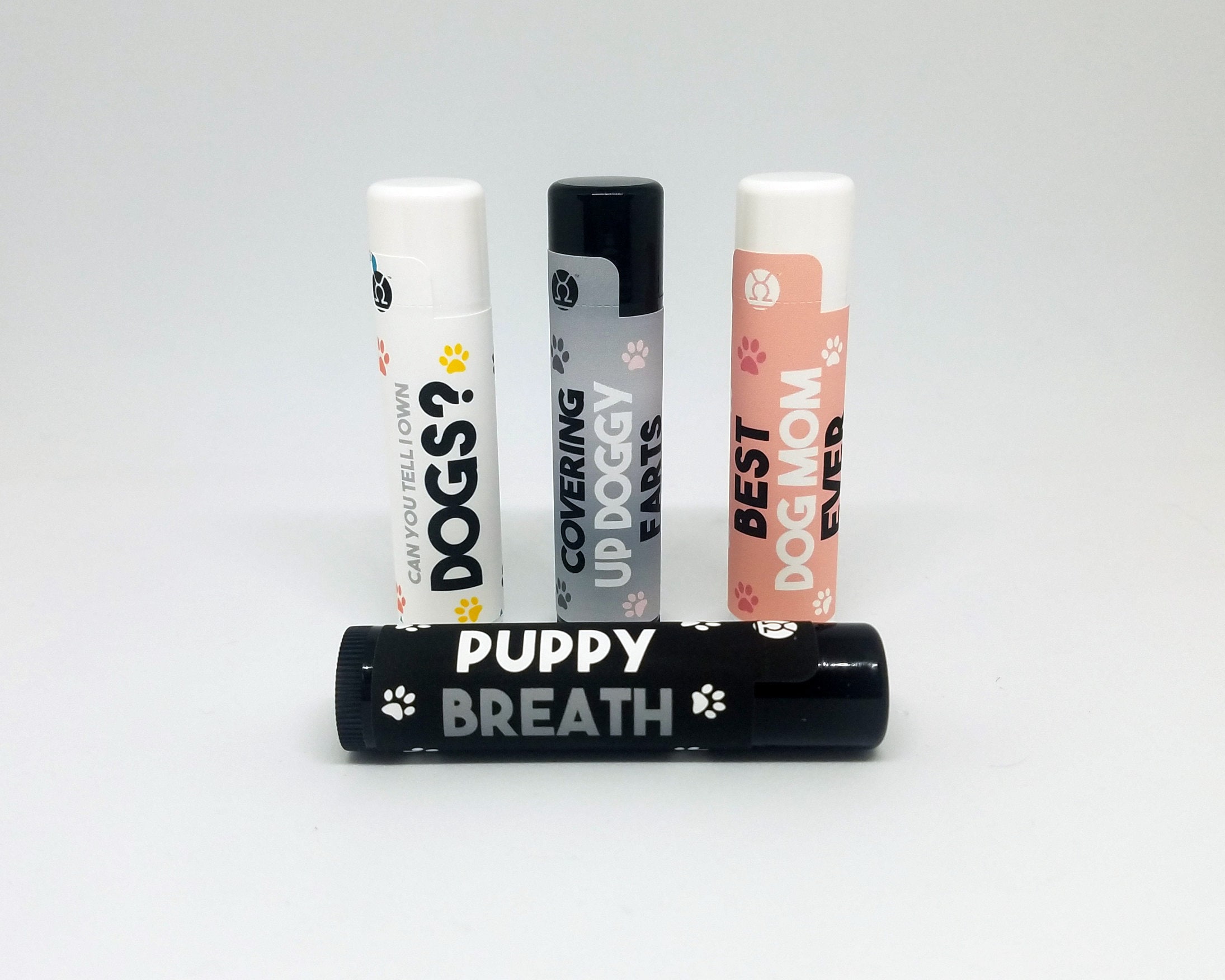 Can Dogs Have Chapstick