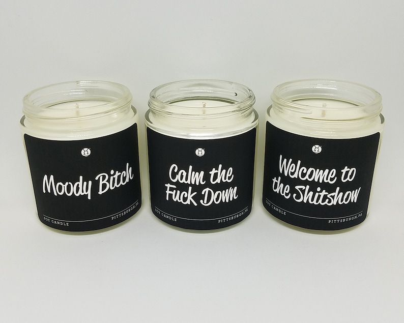 3.5oz. Funny Candlesoy Candles Insult Sarcasm Joke Etsy