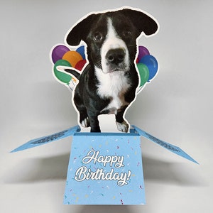 Birthday Pet Photo Pop-Up Greeting Card Personalized Dog Birthday Card Custom Photo Greeting Card Birthday, Pet Lovers, Gift Ideas image 3