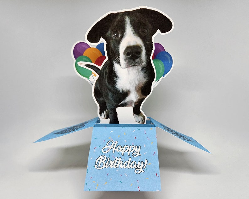 Birthday Pet Photo Pop-Up Greeting Card Personalized Dog Birthday Card Custom Photo Greeting Card Birthday, Pet Lovers, Gift Ideas image 3