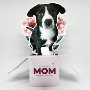 Tarjeta de felicitación emergente para el Día de la Madre / Tarjeta para mascotas, Tarjeta con foto / Regalos para mamá, Tarjetas para mamá, Feliz Día de la Madre