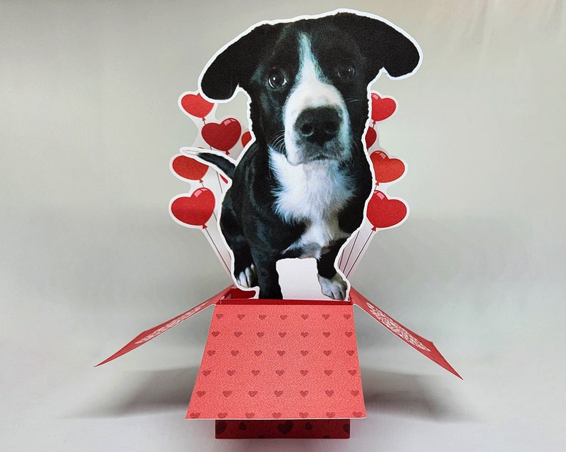 Valentine's Day Photo Pop-Up Greeting Card Personalized Card, Custom Card Valentine's Day, Pet Lovers, Photo Card, Pop Up Card image 3