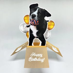 Tarjeta de cumpleaños emergente con foto de mascota personalizada / Tarjeta personalizada para perro o gato / Saludo 3D único para amantes de las mascotas