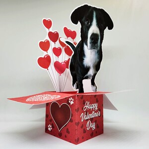 Valentine's Day Photo Pop-Up Greeting Card Personalized Card, Custom Card Valentine's Day, Pet Lovers, Photo Card, Pop Up Card image 5
