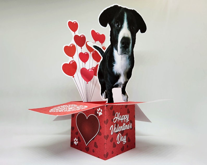 Valentine's Day Photo Pop-Up Greeting Card Personalized Card, Custom Card Valentine's Day, Pet Lovers, Photo Card, Pop Up Card image 5