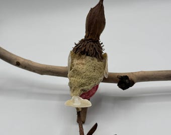 Jingle Shell Bird