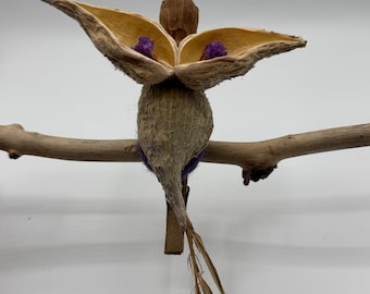 Purple Bird