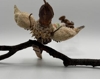 Bird with acorn tail