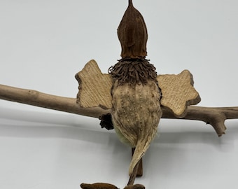Pumpkin Stem Bird