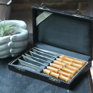 Solingen Fruit Knives w/ Bamboo Handles in Original Box cocktail charcuterie canapé knives
