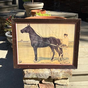 May include: Framed vintage print featuring a black horse pulling a sulky with a driver. The print has a sepia tone with the text "DAN PATCH" at the bottom. The frame is dark brown and the print is displayed outdoors.