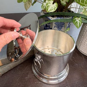 Silver Lions Head Ice Bucket - Etsy