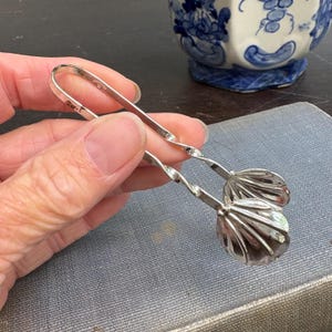 Può includere: Pinze per zucchero argentate con un design floreale decorativo alle estremità delle palette. Le pinze hanno un manico attorcigliato e sono tenute contro una superficie blu-grigio. Un oggetto in porcellana blu e bianca è sullo sfondo.