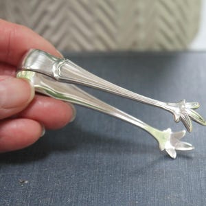 Puede incluir: Pinzas de azúcar plateadas con un diseño floral decorativo en los extremos. Las pinzas son sostenidas por una mano, mostrando el elegante estilo vintage. Las pinzas están hechas de un metal brillante y reflectante.