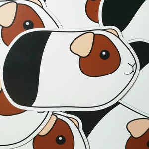 Guinea Pig Magnet