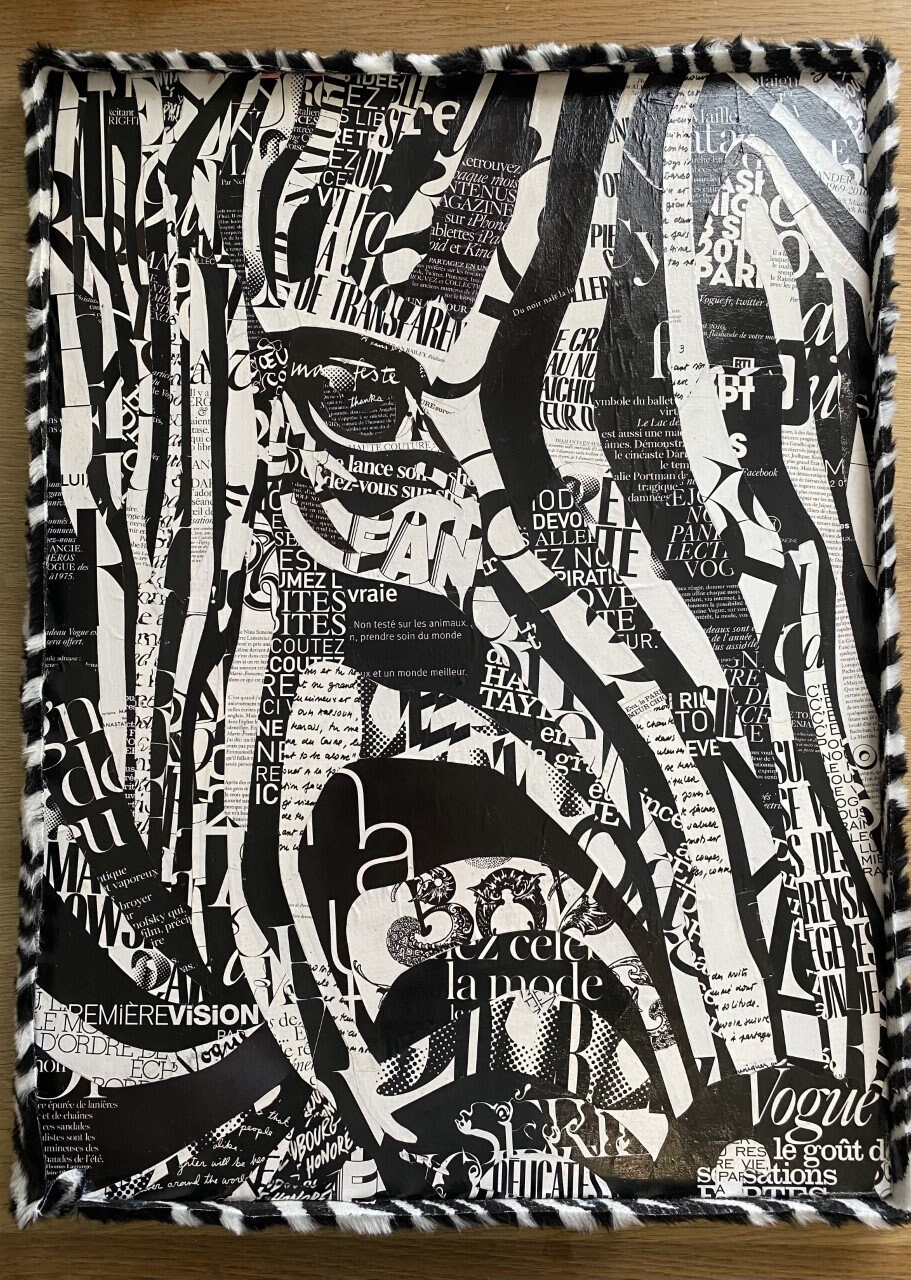 Tableau Collage Zèbre