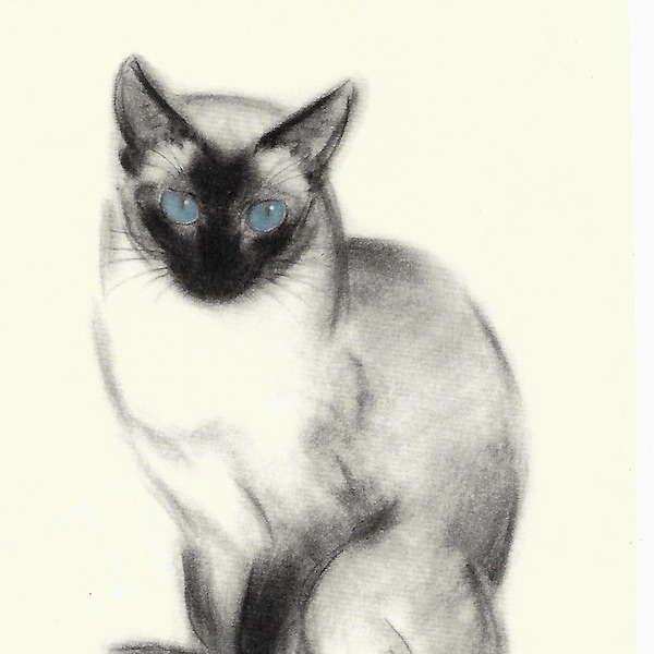 Blue Eyes SIAMESE Cat by Newberry -  ORIGINAL 1953 Vintage Book Picture - MATTED or No Mat