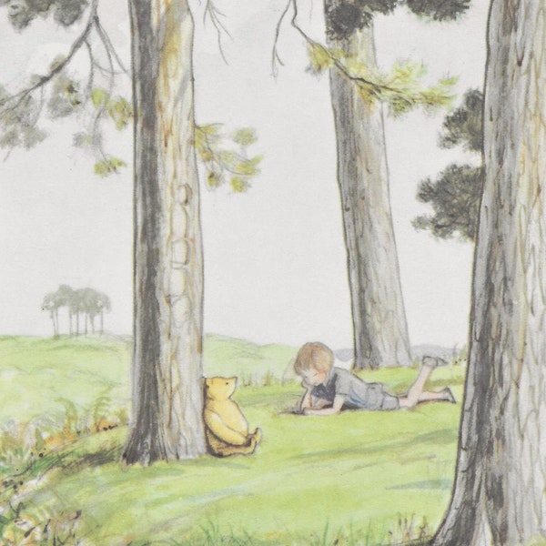 Hundred Acre Wood Etsy