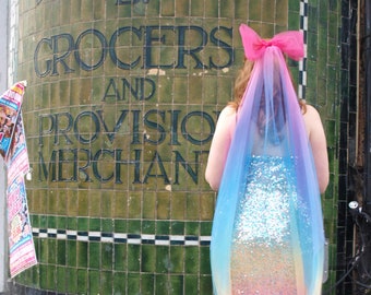 Rainbow Veil / Colourful Bridal Veil