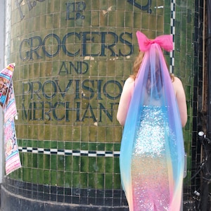 Rainbow Veil / Colourful Bridal Veil