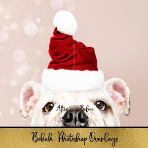 Bokeh Overlays - Photo Editing Effect