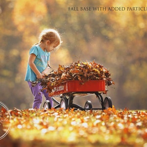 May include: A young girl in a blue shirt and purple pants is filling a red wagon with autumn leaves. The wagon is on a grassy field with a blurred background of fall foliage.
