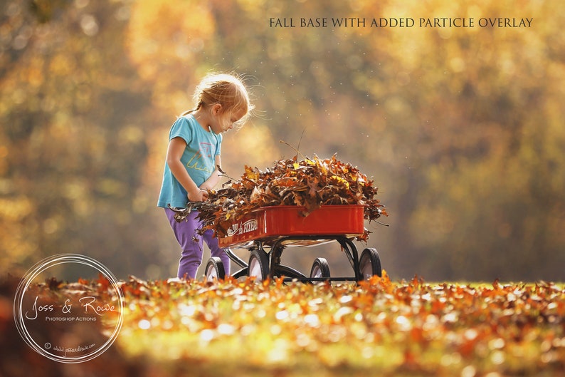 May include: A young girl in a blue shirt and purple pants is filling a red wagon with autumn leaves. The wagon is on a grassy field with a blurred background of fall foliage.