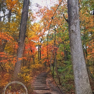 May include: A stone staircase leads up through a forest with colorful autumn leaves. The trees are mostly green with some yellow, orange, and red leaves. The path is lined with trees on both sides.