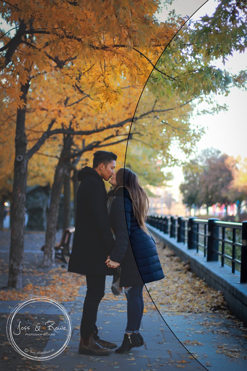 May include: A couple in black jackets are kissing in front of a row of trees with yellow leaves. The ground is covered in fallen leaves. The couple is standing on a sidewalk next to a black metal fence.