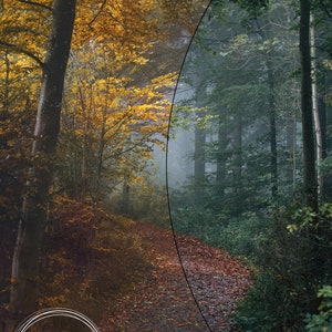 May include: A path through a forest, divided by a curved line. The left side of the path is in autumn colors, with yellow and orange leaves. The right side of the path is a dark green forest with fog. The text "Joss & Rowe Photoshop Actions" is at the bottom of the image.