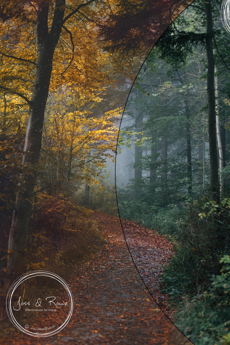 May include: A path through a forest, divided by a curved line. The left side of the path is in autumn colors, with yellow and orange leaves. The right side of the path is a dark green forest with fog. The text "Joss & Rowe Photoshop Actions" is at the bottom of the image.
