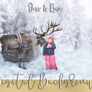 Christmas Reindeer Winter Digital Background Backdrop