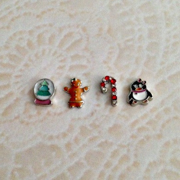 Christmas and Winter floating charms for memory lockets