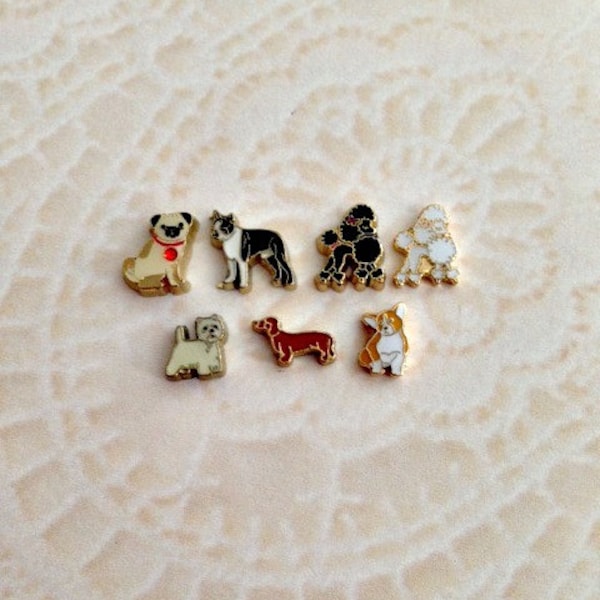 Dog floating charms for memory lockets