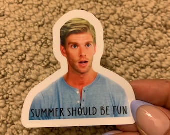 summer should be fun sticker