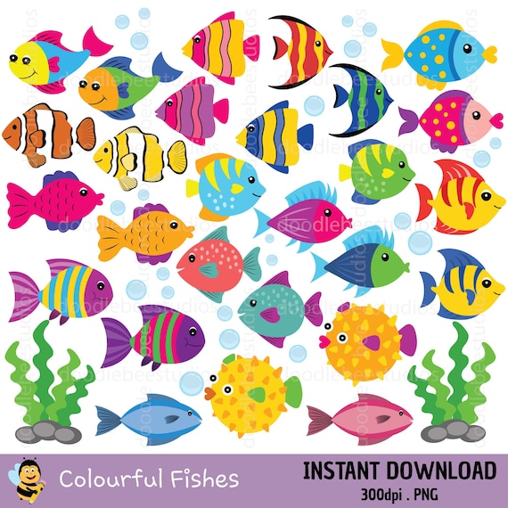 Colorful Fish Clipart, Cute Fish Clipart, Sealife Clipart, Sea Animals  Clipart, Digital Fish, Colourful Fish Clipart, Fishes Clipart 