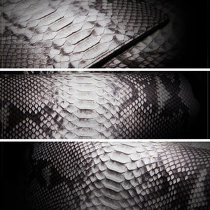 May include: Close-up of a white and gray snakeskin pattern. The pattern is made up of small, overlapping scales.