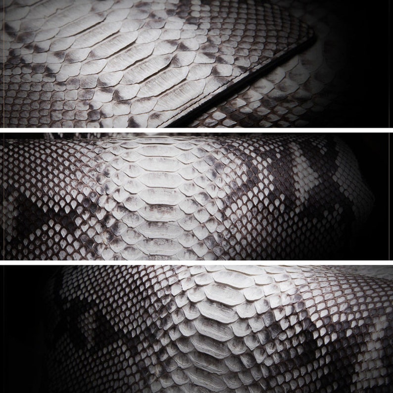 May include: Close-up of a white and gray snakeskin pattern. The pattern is made up of small, overlapping scales.
