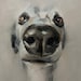 Avatar belonging to JulieBrunnArt