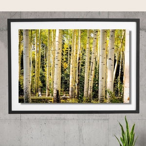Colorado Photo Print, San Juan Mountains, Home Decor, Wall Art, Digital Print, Colorado Photography