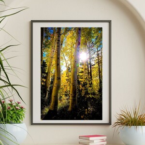 Colorado Photo Print, San Juan Mountains, Home Decor, Wall Art, Digital Print, Colorado Photography