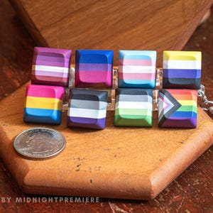 Può includere: Otto tasti quadrati con vari design di bandiere LGBTQ+, tra cui bandiere lesbiche, bisessuali, transgender, non binarie, pansessuali, asessuali, aromantiche e del pride. Sono disposti su una superficie di legno con una moneta per il confronto delle dimensioni. Il testo "ART BY MIDNIGHTPREMIERE" è visibile.