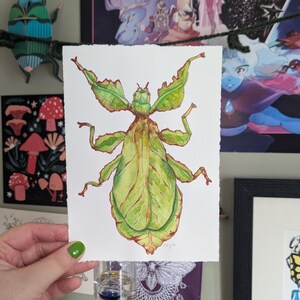 Leaf Bug | ORIGINAL