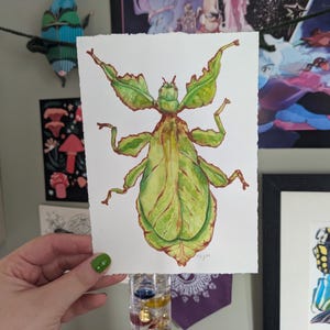 Leaf Bug | ORIGINAL image 2