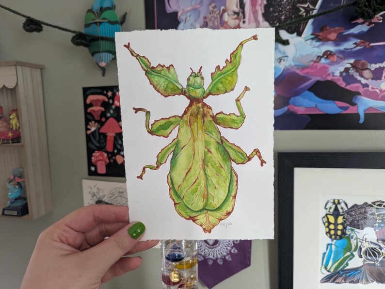 Leaf Bug | ORIGINAL image 2