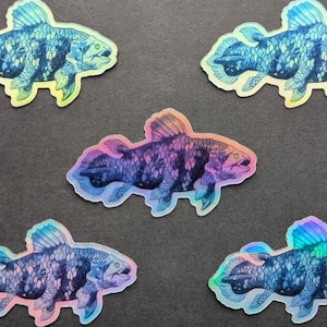 Pegatina holográfica de celacanto (dos tamaños disponibles) - Arte oceánico de peces fósiles