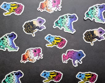 Mini Pride Frog Vinyl Stickers