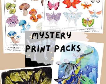 Mystery Print Pack!