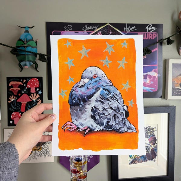 Pigeon | 8.5x11 Matte Photo Print